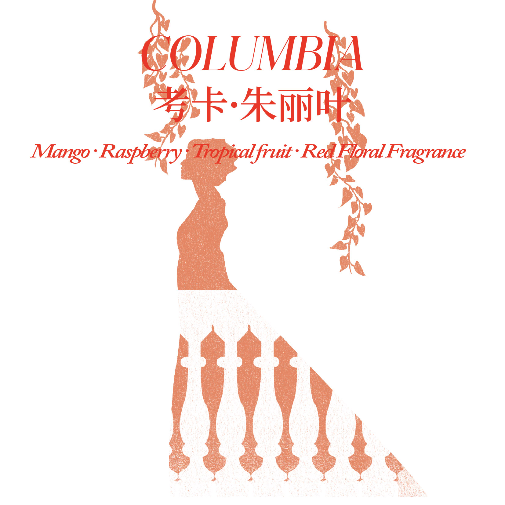 哥伦比亚 考卡 茱莉亚庄园 朱丽叶 日晒处理